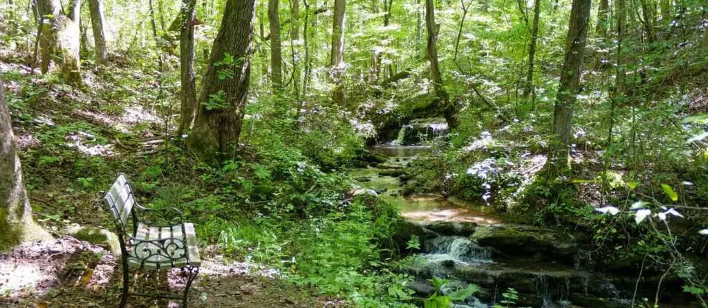 A quiet wooded creek and bench on the Eagle Overlook Recovery campus