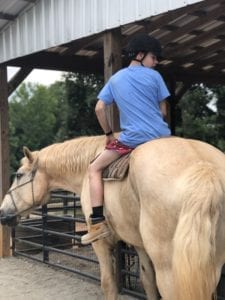 Read more about the article Equine Assisted Psychotherapy