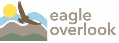 Eagle Overlook Recovery Main Logo File